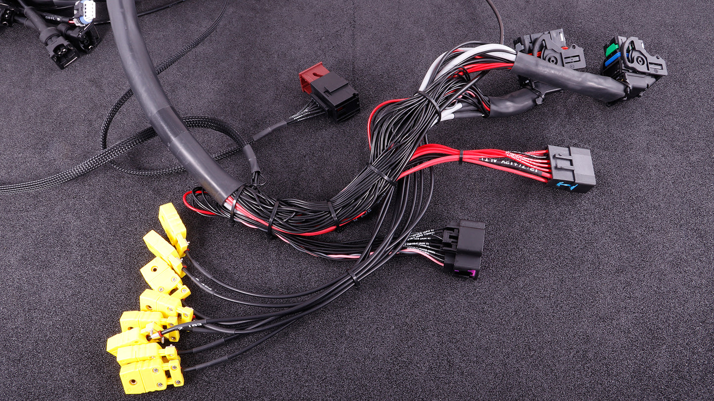 MaxxEcu GM LS Terminated harness with RACE ecu
