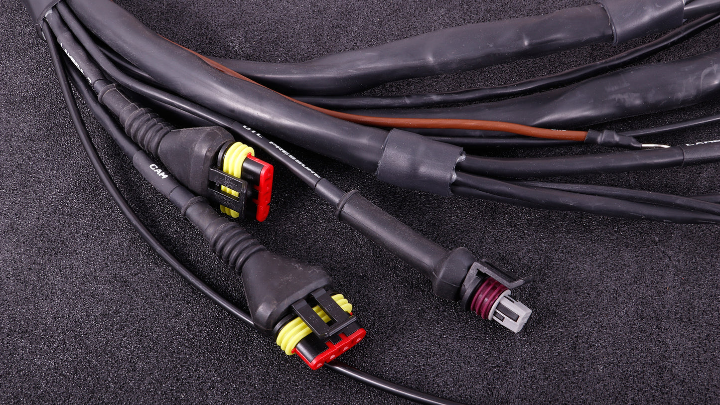 MaxxEcu GM LS Terminated harness with RACE ecu