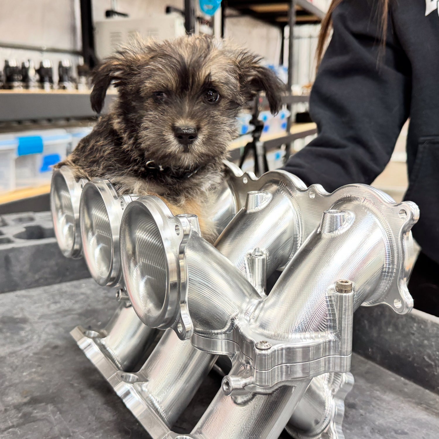 Machine Shop Shit